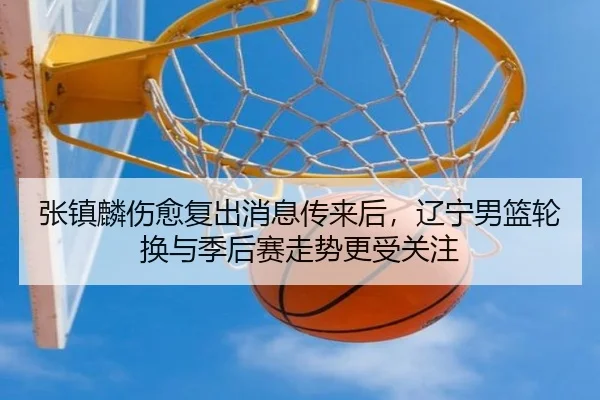 张镇麟伤愈复出消息传来后，辽宁男篮轮换与季后赛走势更受关注